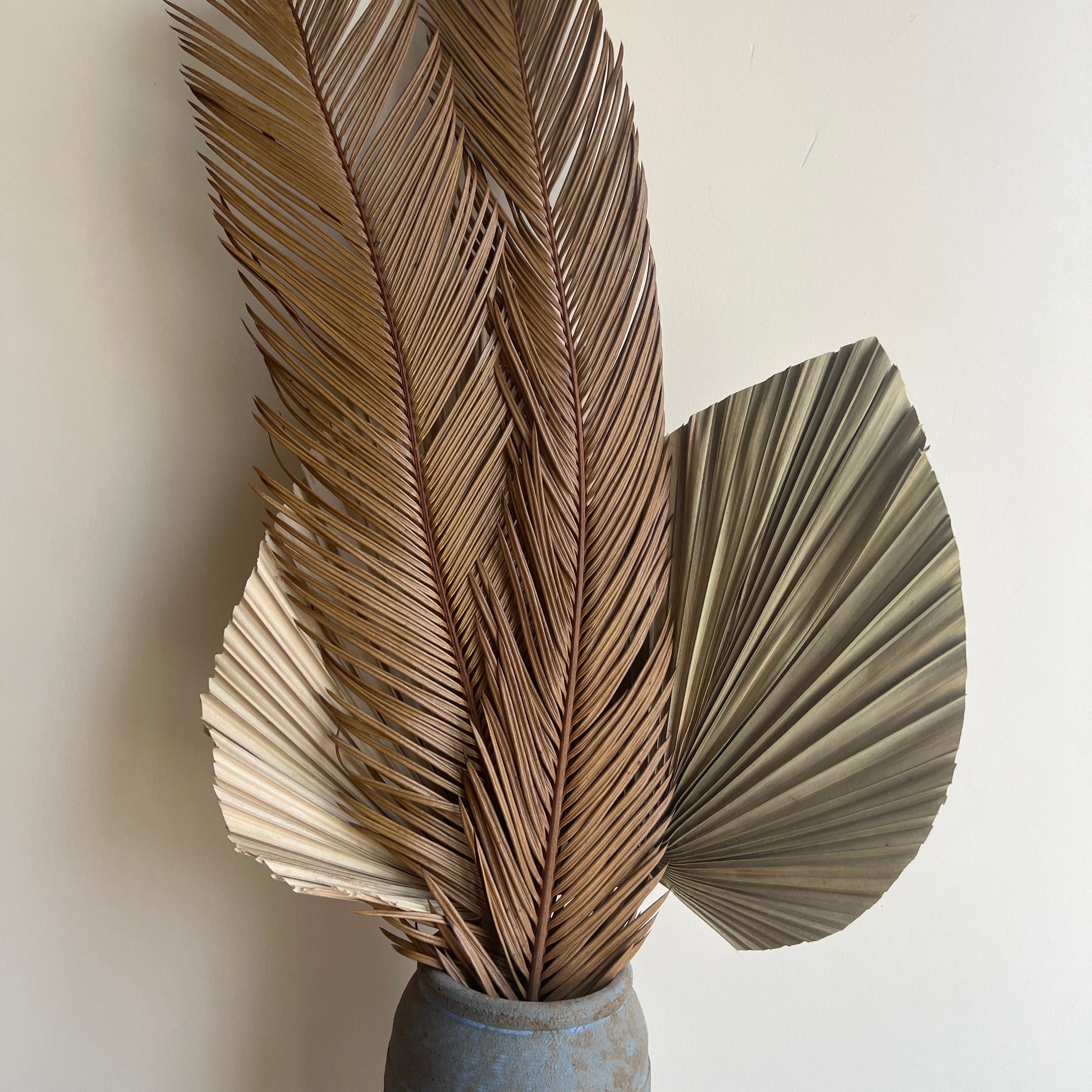 天然植物干花散尾叶铁树叶花艺装饰插花布置商场布景橱窗道具婚庆,家居饰品,婚庆/商业花艺,淘宝优惠券,粉丝福利购,淘宝优惠卷