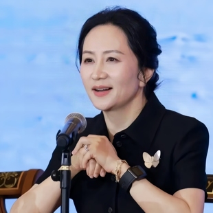破茧成蝶 孟晚舟同款 天然白蝶贝珍珠蝴蝶胸针 配饰女 胸针 西装