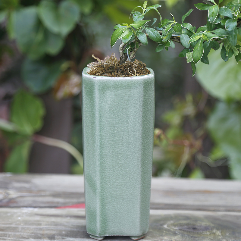 素烧多肉花盆桌面绿植陶瓷花盆