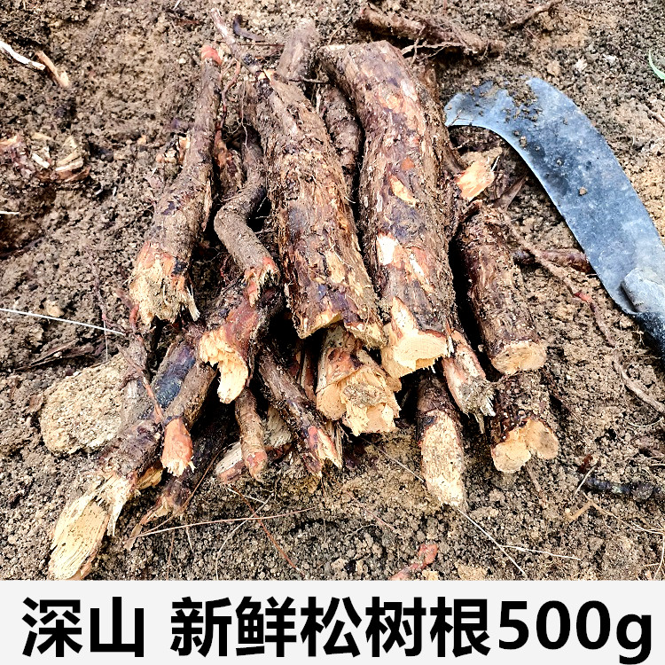 深山松根新鲜松树根中药材马尾松根二针松根松木根山上500g