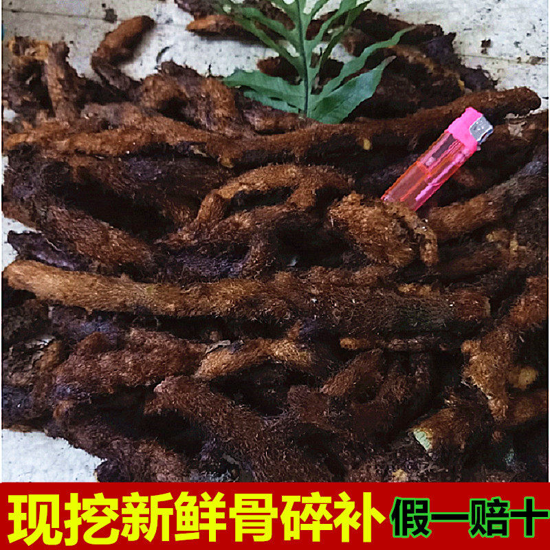 新鲜骨碎补爬岩姜500g树寄生猴姜寄生姜毛姜石岩姜接骨申姜肉碎补