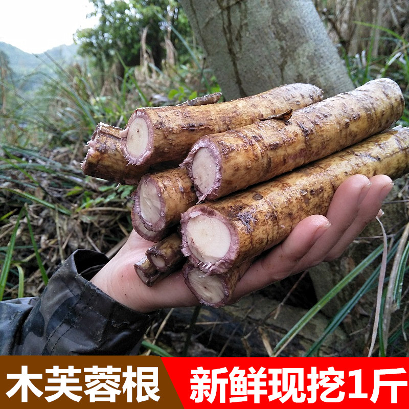 中草药新鲜芙蓉根500g包邮