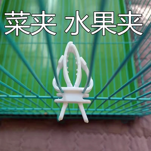 鸟用蔬菜夹子菜夹水果方便夹芙蓉鸟玉鸟金清灰雁丝雀繁殖鸟