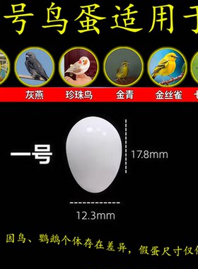 仿真塑料实心假蛋鹦鹉珍珠鸟金青