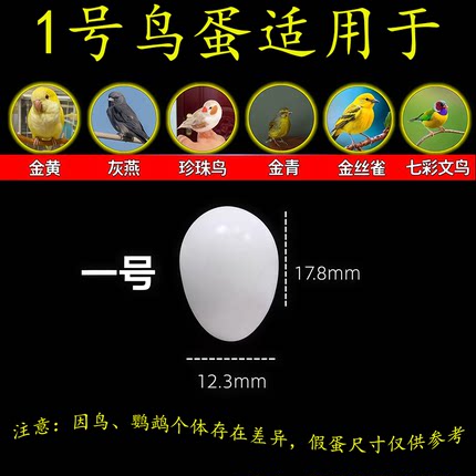 【限时促销】仿真塑料实心假蛋鹦鹉珍珠鸟金青玉鸟丝雀仿真小鸟蛋