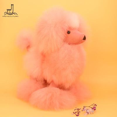 INCACULTURA婴羊驼毛贵宾犬