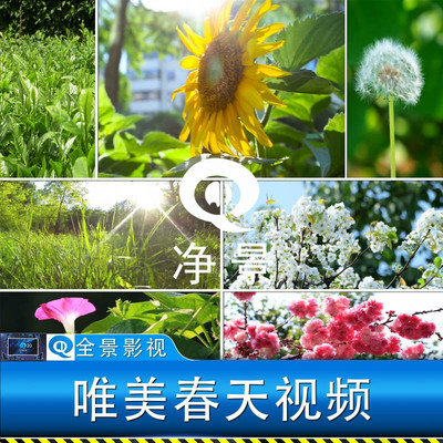 唯美温馨阳光自然春天花朵草开放生长梨花蒲公英春暖花开视频素材