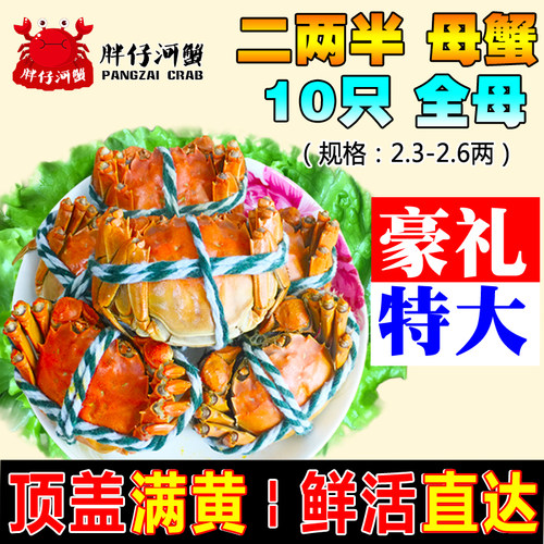 特大二两半母10只河蟹鲜活大闸蟹