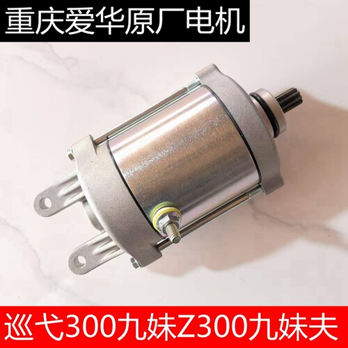 JOYMAX300Z巡弋300马达