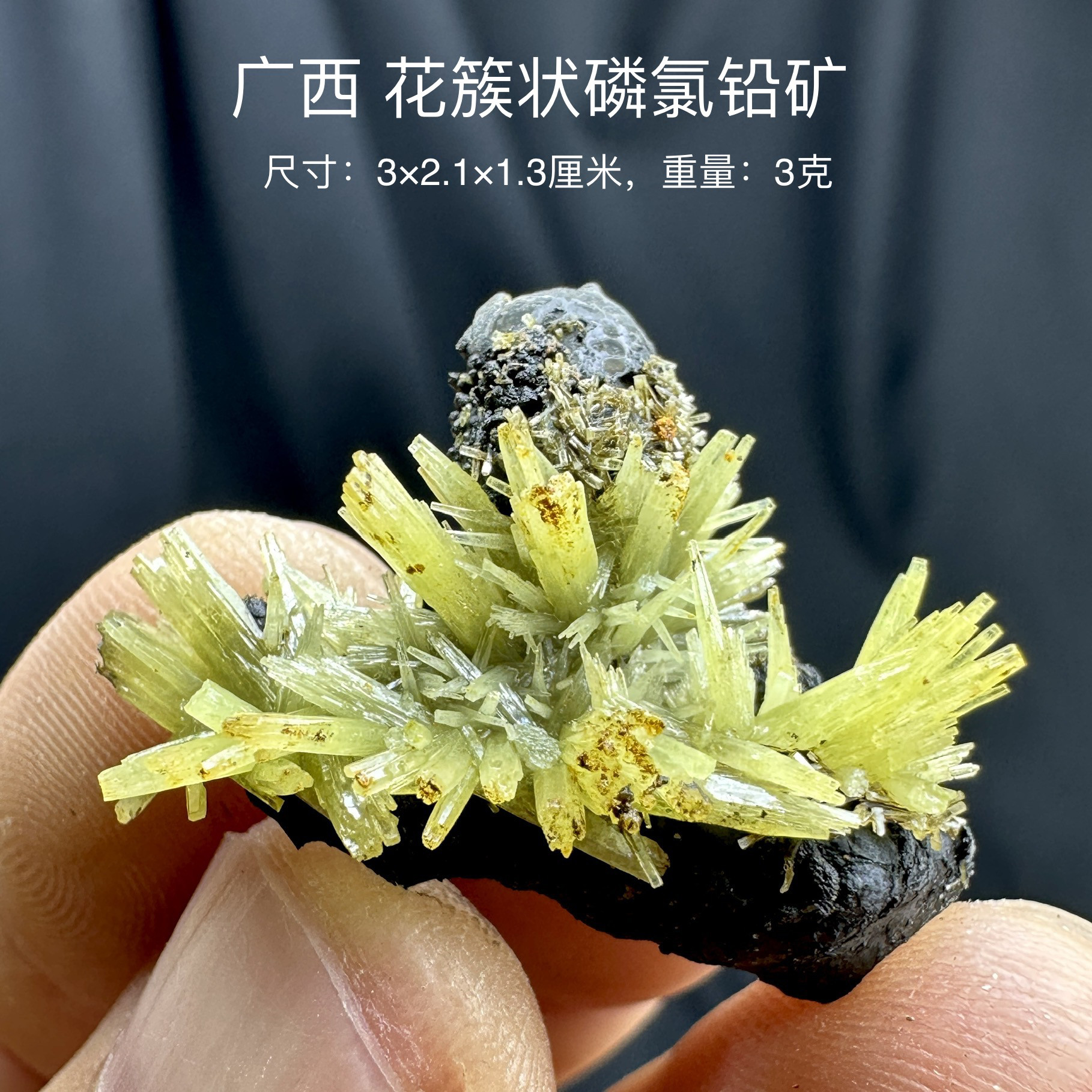 广西花簇磷氯铅矿 天然矿物晶体标本矿石原石收藏石头摆件d19