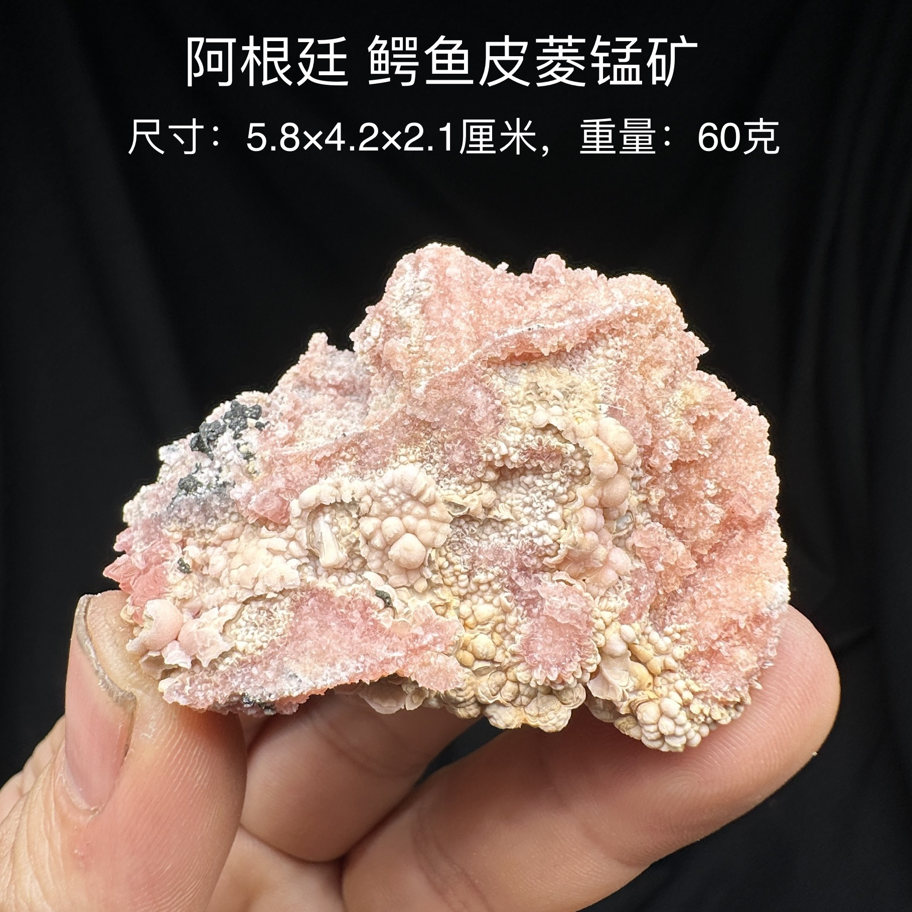 阿根廷鳄鱼皮菱锰矿 天然矿物晶体标本矿石原石收藏石头摆件d21