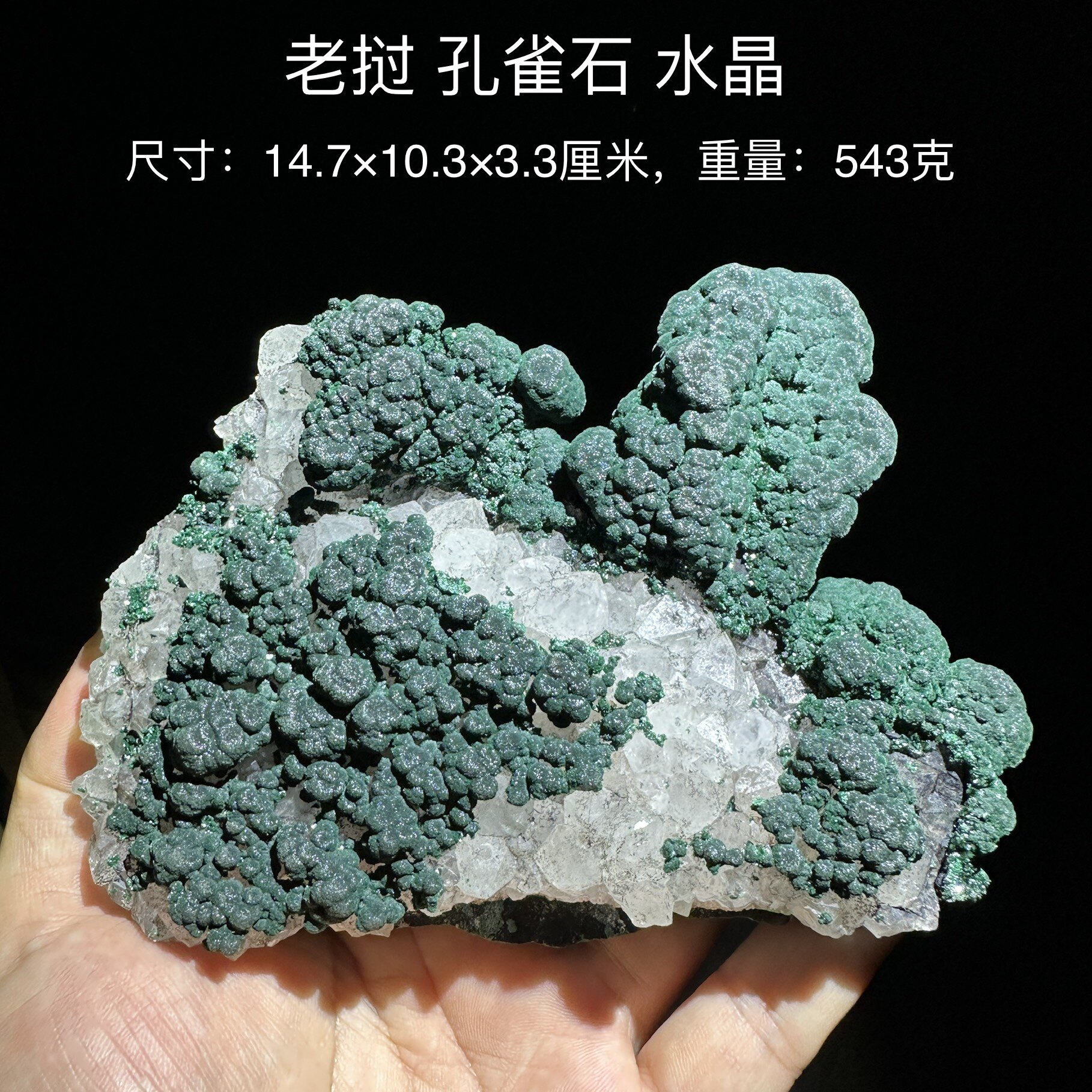 老挝水晶孔雀石 天然矿物晶体标本矿石原石收藏石头摆件d18