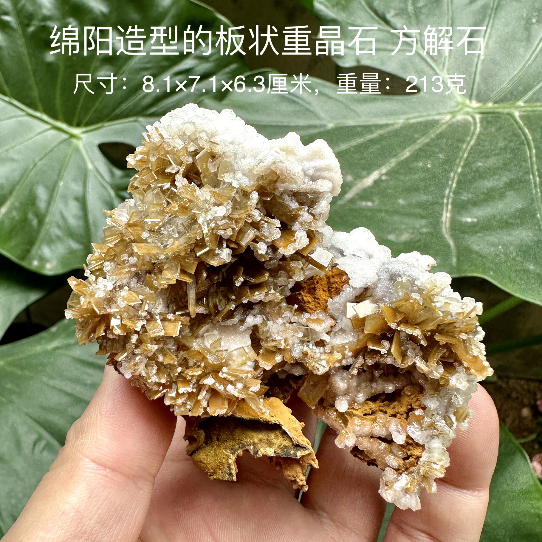 绵羊造型板状重晶石方解石 天然矿物晶体标本矿石原石收藏摆件d09