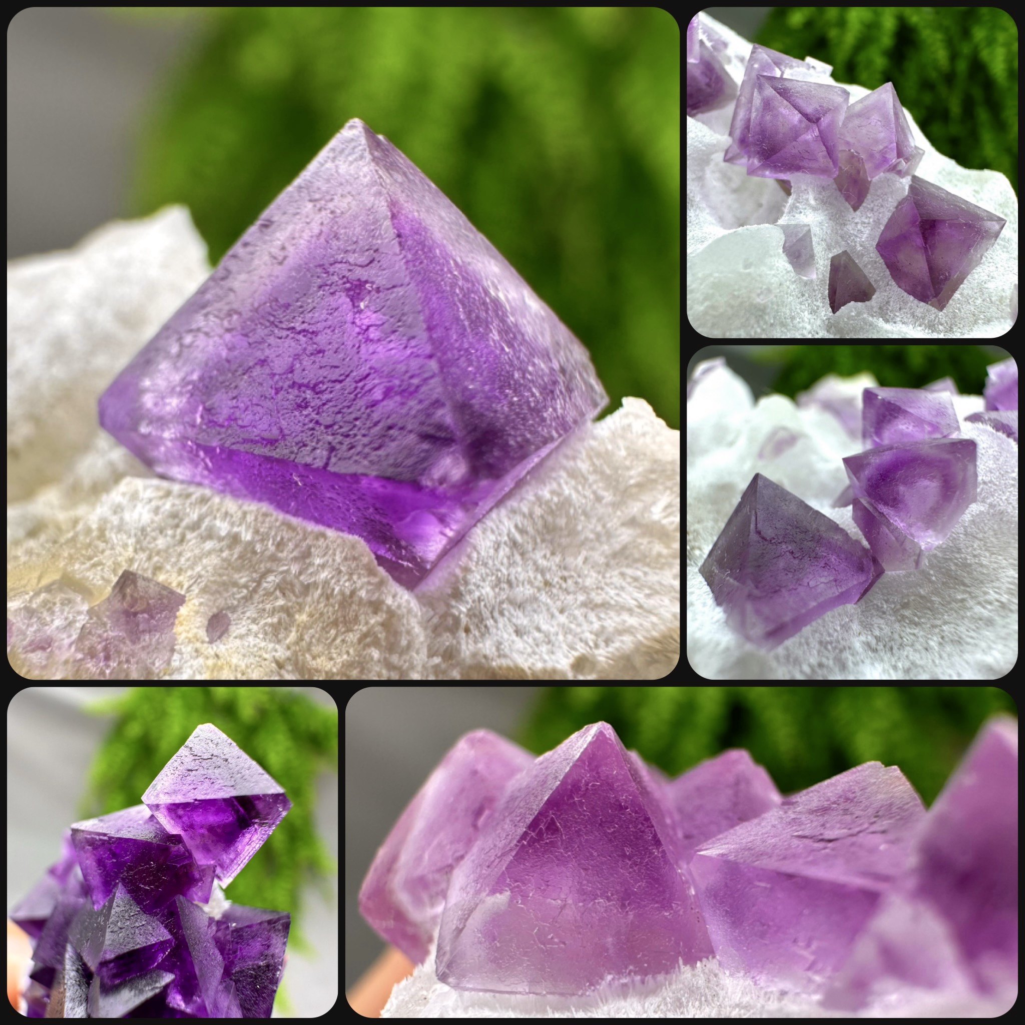 浙江 八面体粉红紫红萤石 天然矿物晶体标本矿石原石收藏石头摆件