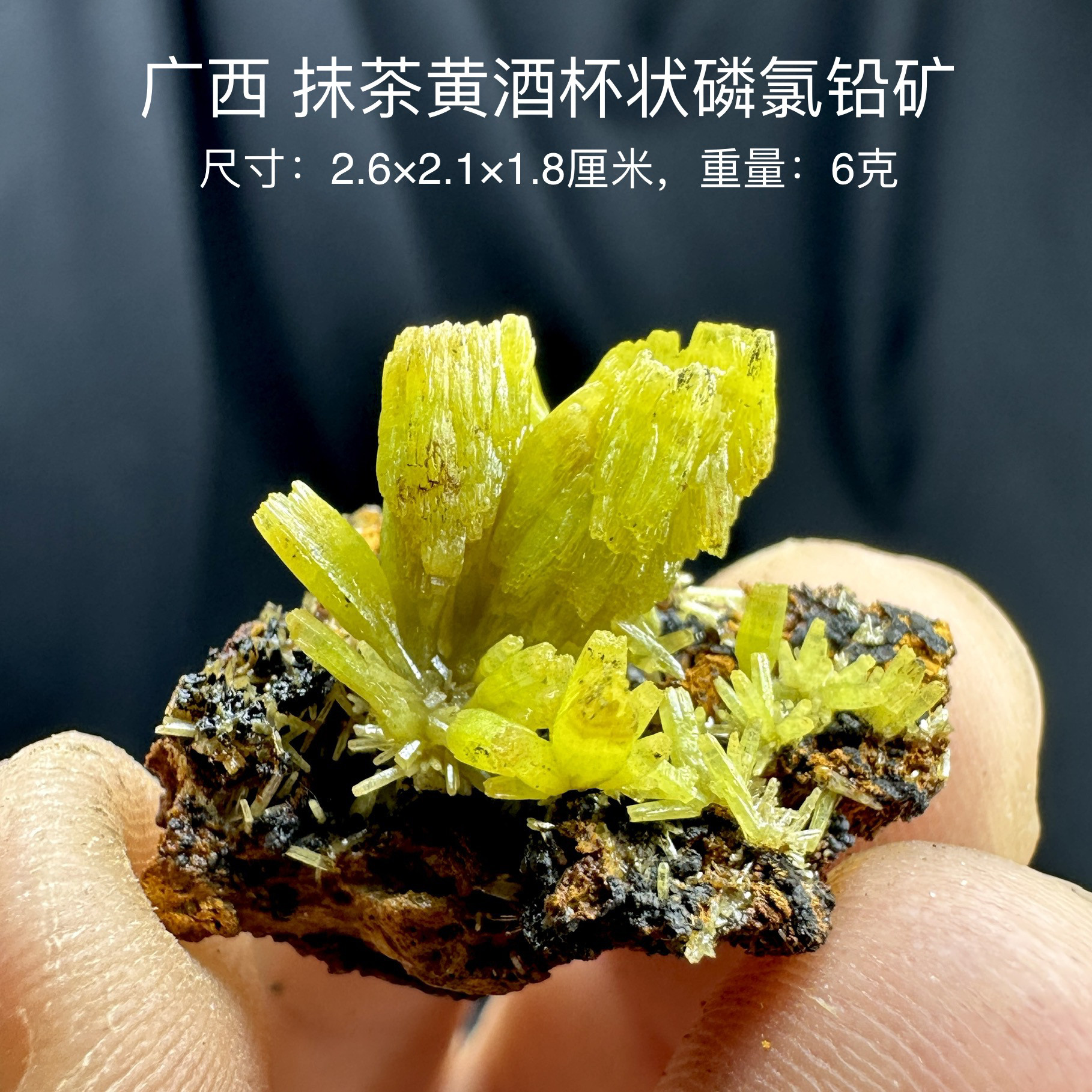 广西抹茶黄酒杯状磷氯铅矿 天然矿物晶体标本矿石原石收藏摆件d19