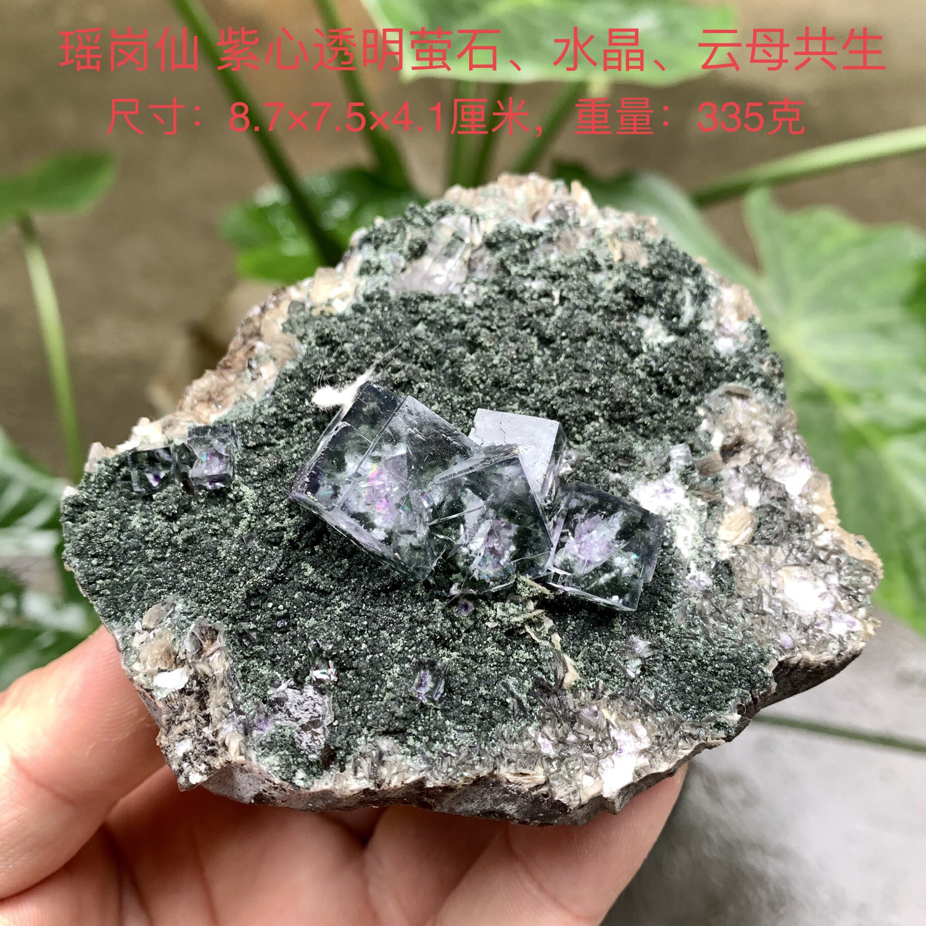 瑶岗仙透明萤石水晶云母天然矿物晶体标本矿石原石石头摆件E18