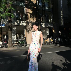 fortylions长款网纱植绒新中式彩色波点连衣裙女夏季修身包臀裙子