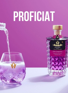 流动的紫色 比利时进口手工圣水金酒 杜松子500mlHoly Water Gin