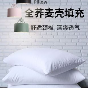荞麦枕头双层内胆拉链枕芯防尘防漏枕头套单人成人家用护颈枕头芯