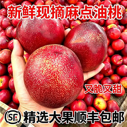 果王顺丰包邮黄心麻油桃斤新鲜水果当季脆甜黄肉油桃大果露天整箱