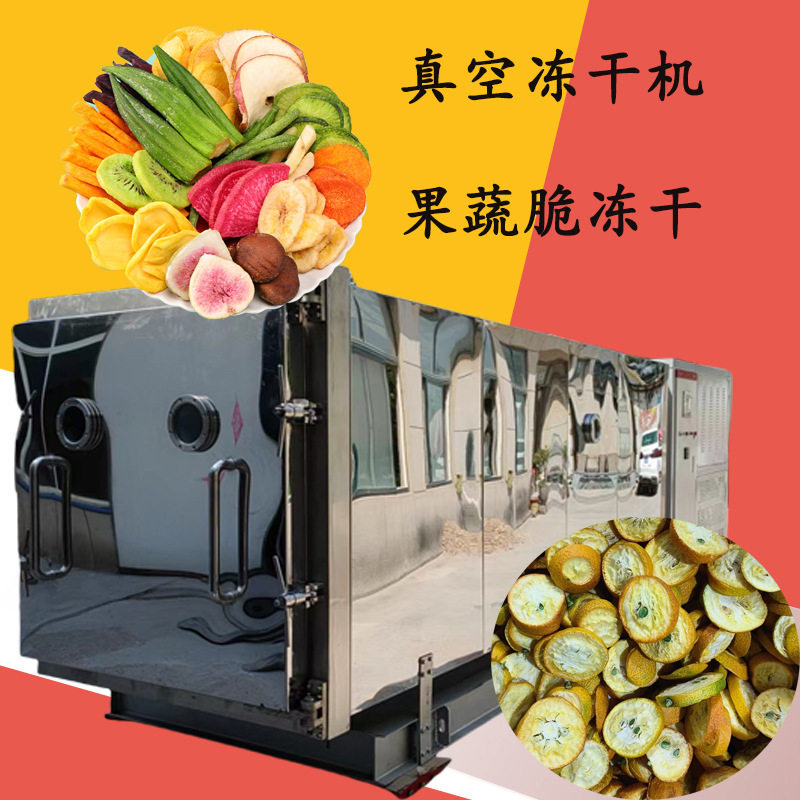 冻干水饺 菠萝蜜黄桃冻干机 枸杞三七冻干粉