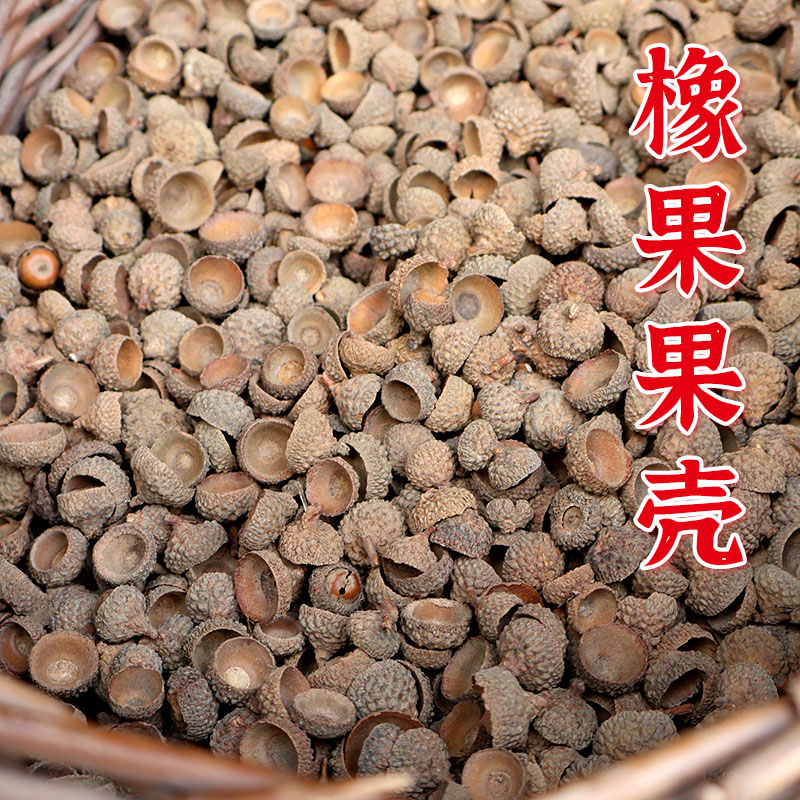 手工制作果实幼儿园摆件松果