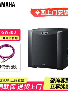 Yamaha/雅马哈NS-SW300/200家庭影院10寸有源家用重低音炮音箱