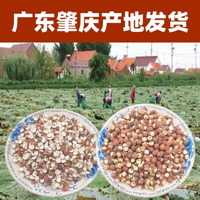 多种规格广东肇庆正宗产地芡实