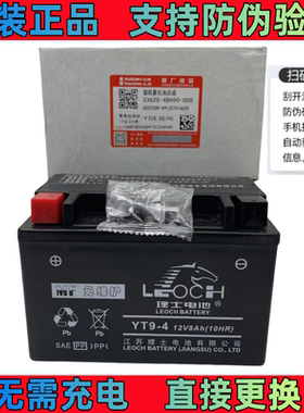 适用铃木骊驰GW250F/S DL250 GSX250R原装电瓶12V8Ah理士蓄电池