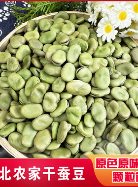 湖北农家自产干蚕豆胡豆