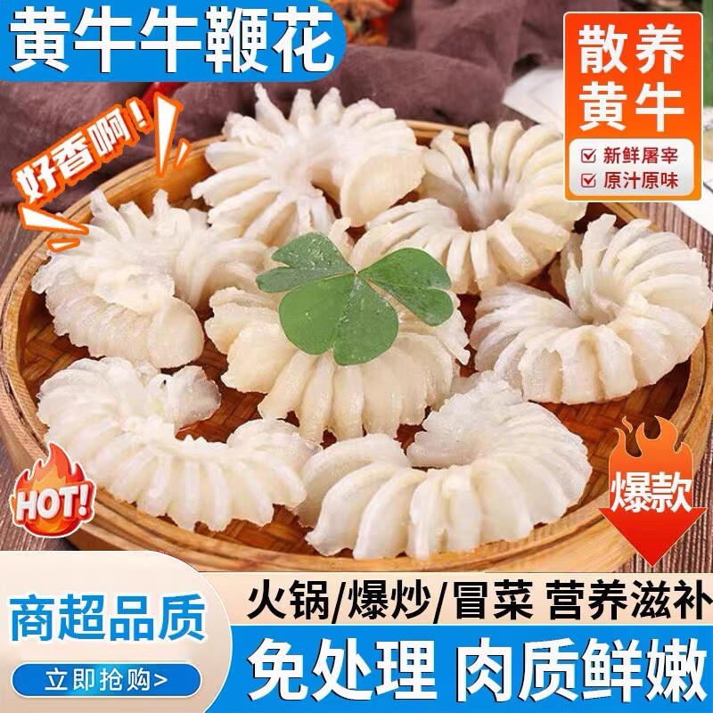 牛鞭花牛菊花牛鞭黄牛