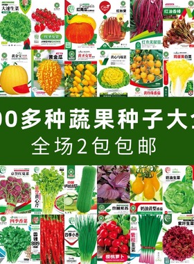 蔬菜种子四季阳台盆栽菜种籽大全葱香菜萝卜籽种瓜果生菜白菜种孑
