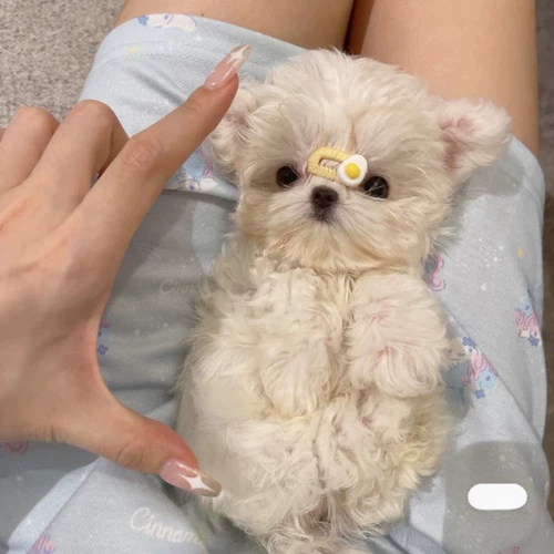 Маленькая заколка для волос ручной работы с бантиком, аксессуар для волос