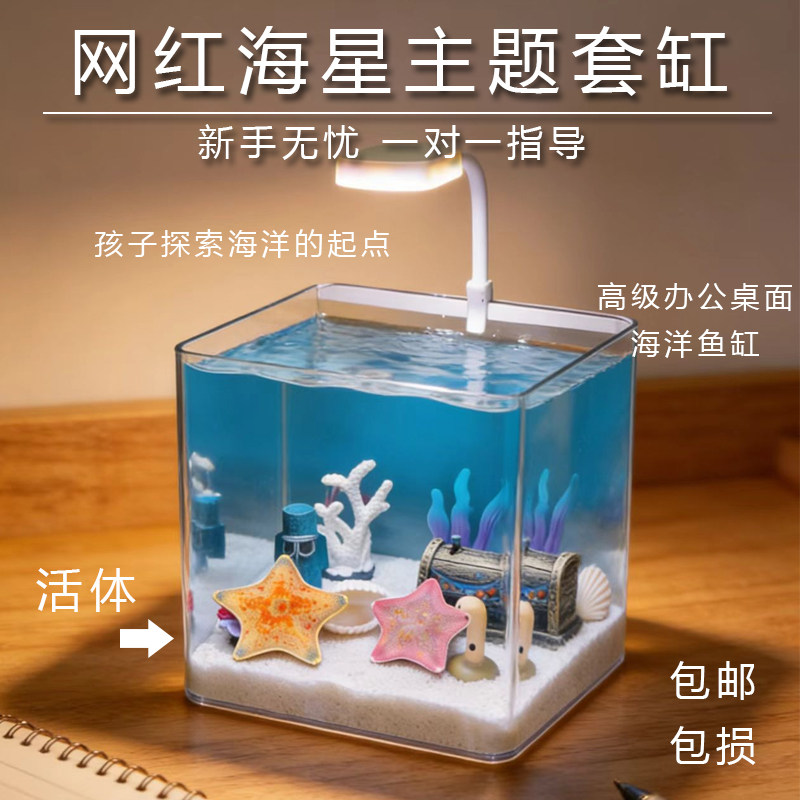 网红主题迷你海星桌面主题缸
