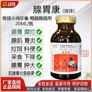 赛鸽信鸽鹦鹉鸽子鸡腺胃康腺肌胃炎鸭鹅采食过料饲料粪便腺胃肿大