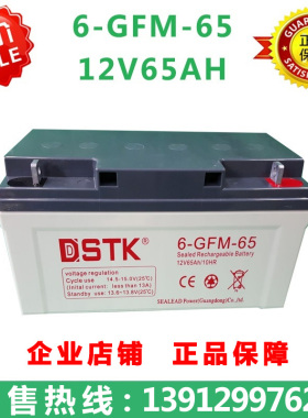 DSTK 6-GFM-65 12V65AH 免维护铅酸阀控蓄电池NP65-12 UPS蓄电池