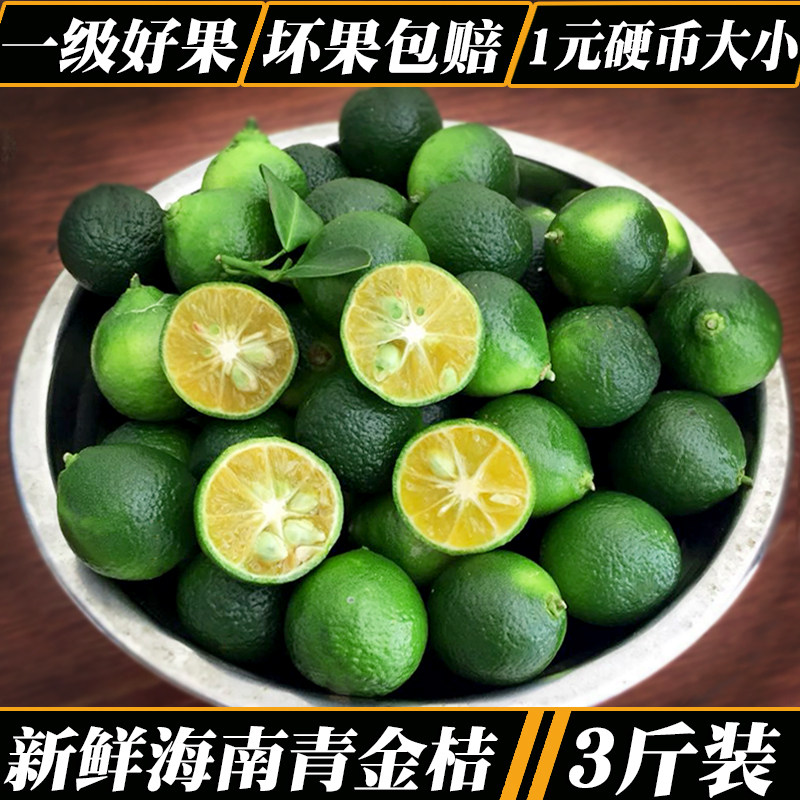 海南小金桔新鲜包邮青金桔3斤装青桔子酸橘小柠檬奶茶店饮品