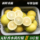 广东香水柠檬新鲜无籽黄柠檬5斤 薄皮香浓一级果奶茶店水果 包邮