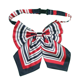 邮储银行信用社农商银行无标记回字丝巾蝴蝶结领花团装配饰定做