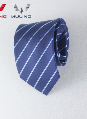 上海通用五菱汽车4s店职业装男士拉链领带蓝色斜条纹一拉得懒人带