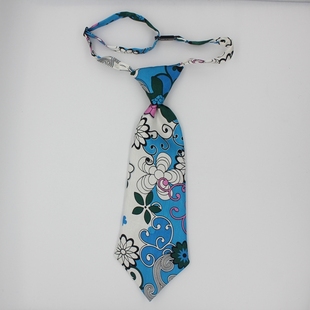 中国农业银行女士小领带新款免打丝巾领带职业装配饰农行柜台营业