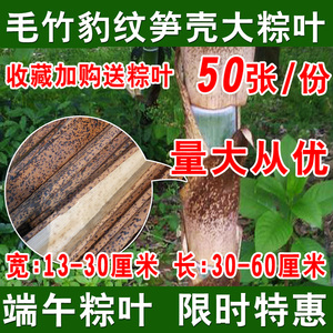 笋壳粽叶浙江特产新鲜特大天然野生毛竹叶楠竹叶50张豹纹超大棕叶