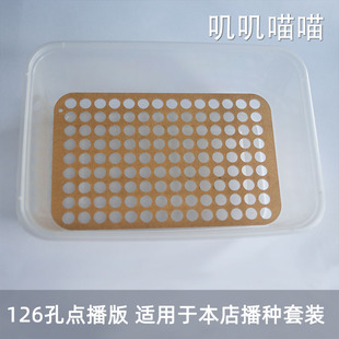 多肉生石花肉锥种子点播板点播卡【叽叽喵喵多肉工具】