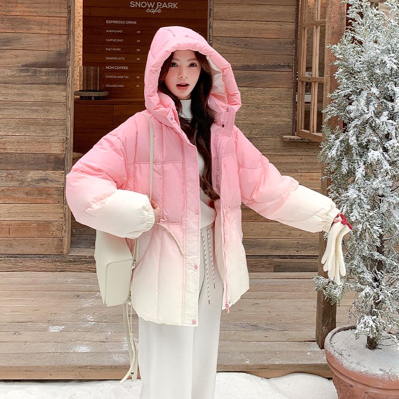 【新品出货中】渐变色连帽50绒羽绒服B228-A660-P255控368，女装羽绒服，浙宝228