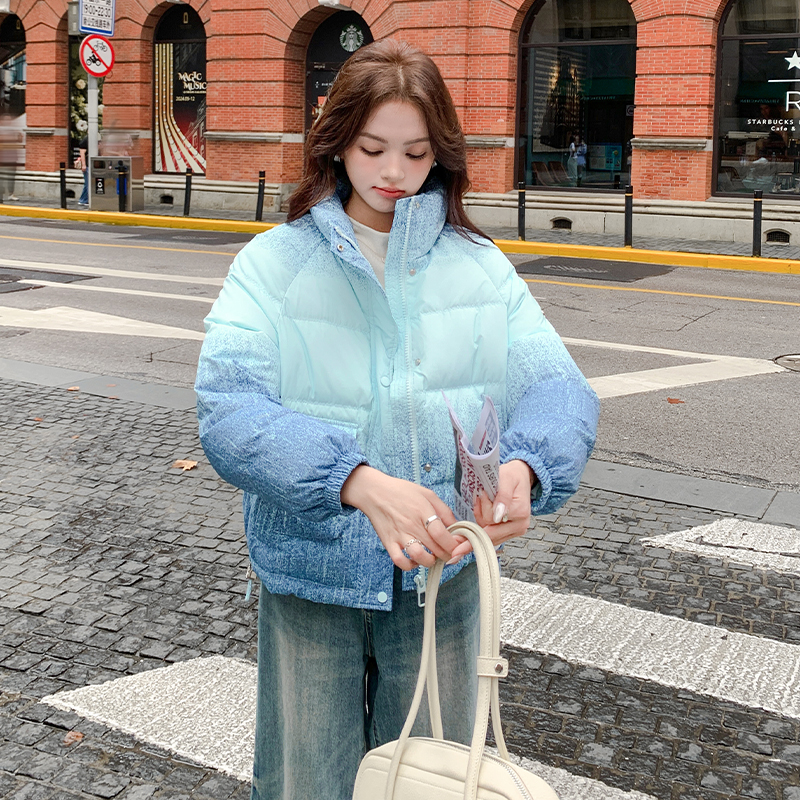 【现货】50绒渐变色短款羽绒服B228-A653-P250控378，女装羽绒服，浙宝228