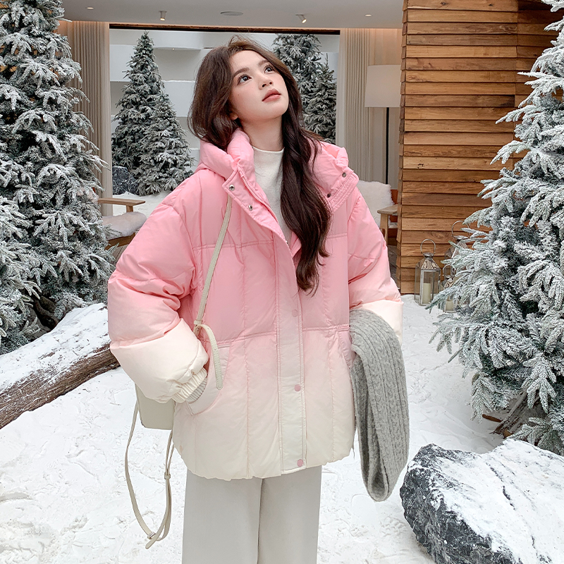 【新品出货中】渐变色连帽50绒羽绒服B228-A660-P255控368，女装羽绒服，浙宝228