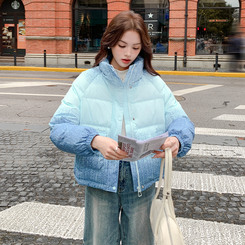 【现货】渐变色短款羽绒服B228-A653-P250控378，女装羽绒服，浙宝228