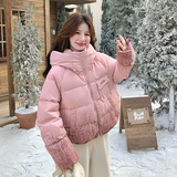 【新品现货】晕染渐变色50绒羽绒服B228-A665-P260控388，女装羽绒服，浙宝228