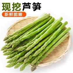 精品中笋 25cm长 直径1.2±0.2新鲜小青芦笋山东曹县芦笋农家自种