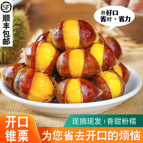 开好口的新鲜锥栗解放双手